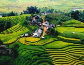 Sapa
