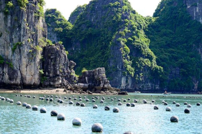 Halong Bay (B,L,D)