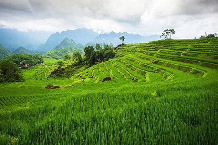14 Day Vietnam Authentic Journey With Pu Luong Discovery