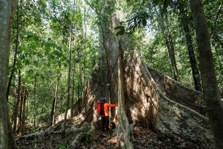 Cat Tien Wild Expedition