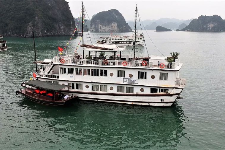 Lavender Cruise 
