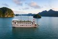Lavender  Elegance  Cruise