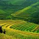 9 Day Vietnam With Halong Cruise , Sapa And Hoi An