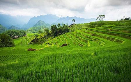 14 Day Vietnam Authentic Journey With Pu Luong Discovery