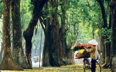 7 Days Vietnam Excursion