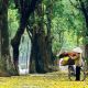7 Days Vietnam Excursion